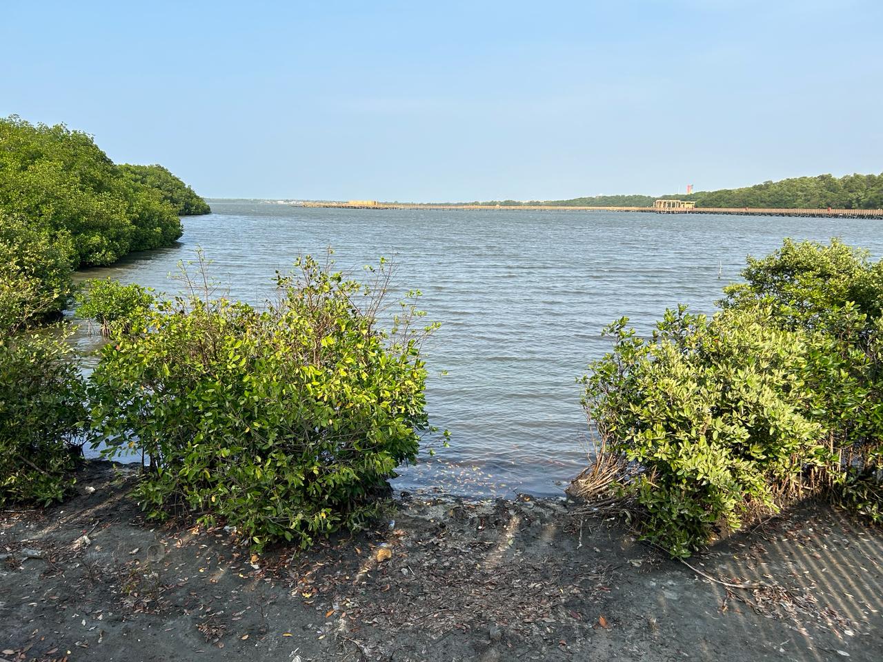 Paisaje de la Ciénaga de Mallorquín en Barranquilla, Colombia